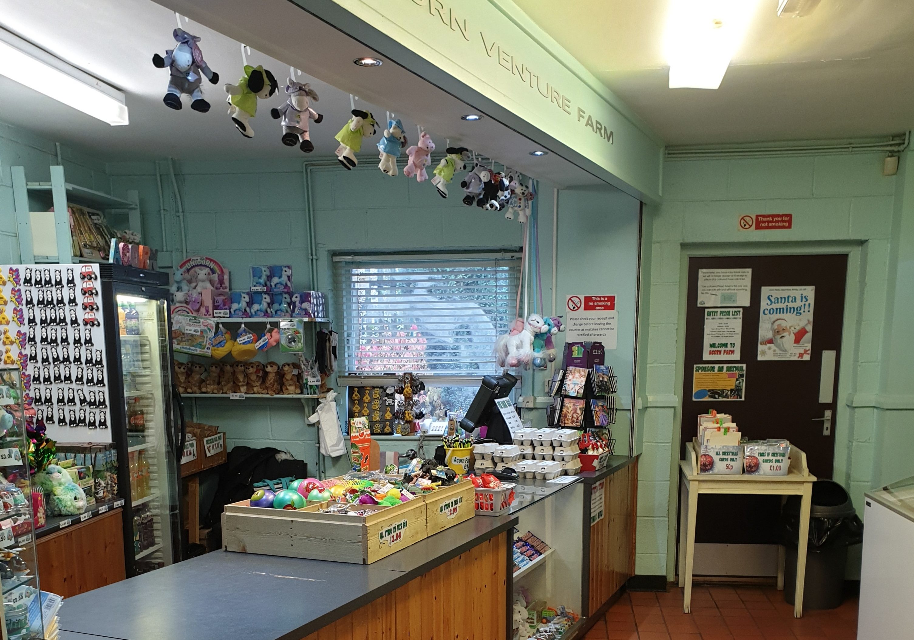 Animal Children Tourist Attraction Liverpool Shop Cafe Free Range Farm